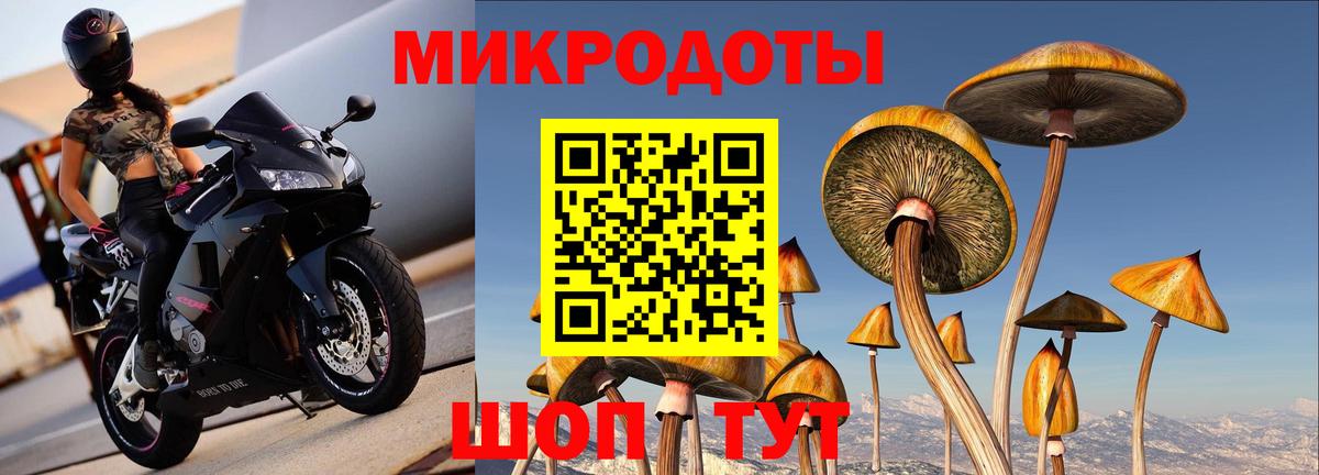 Галлюциногенные грибы Magic Shrooms  купить наркотики сайты  Острогожск  Вход с VPN  Псилоцибиновые грибы мицелий 