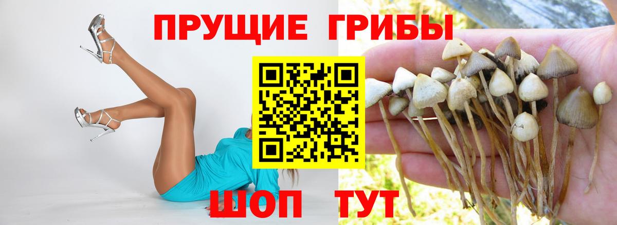 Галлюциногенные грибы MAGIC MUSHROOMS Острогожск